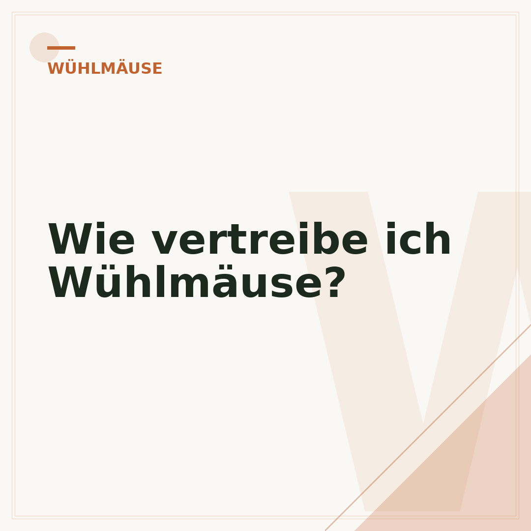 Wie vertreibe ich Wühlmäuse?