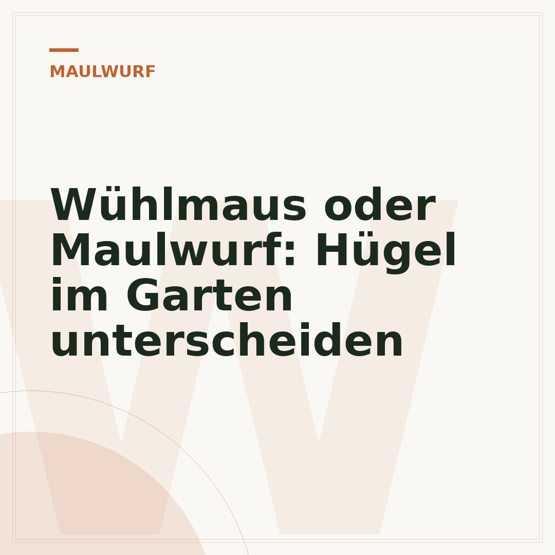 Wühlmaus oder Maulwurf: Hügel im Garten unterscheiden