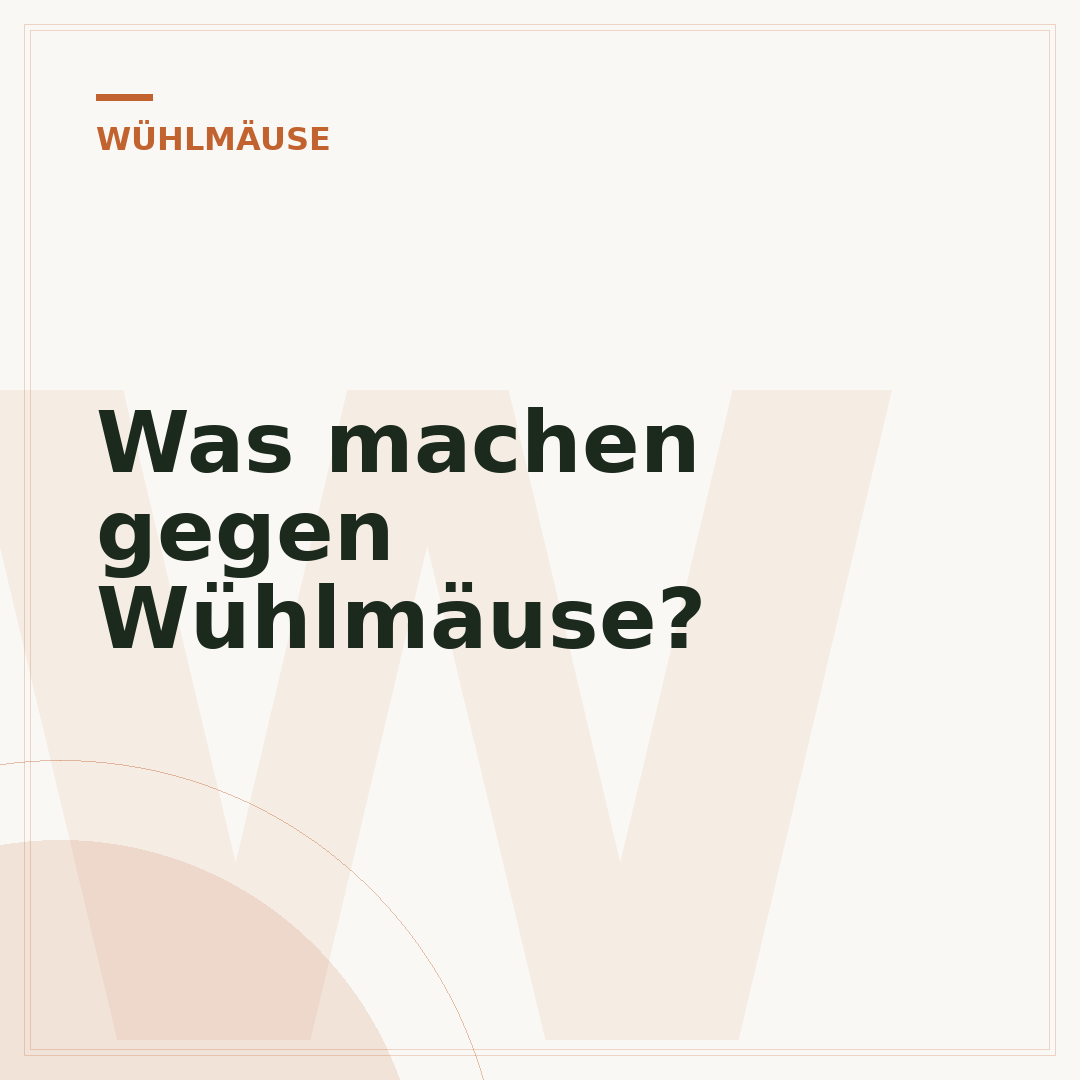 Was machen gegen Wühlmäuse?