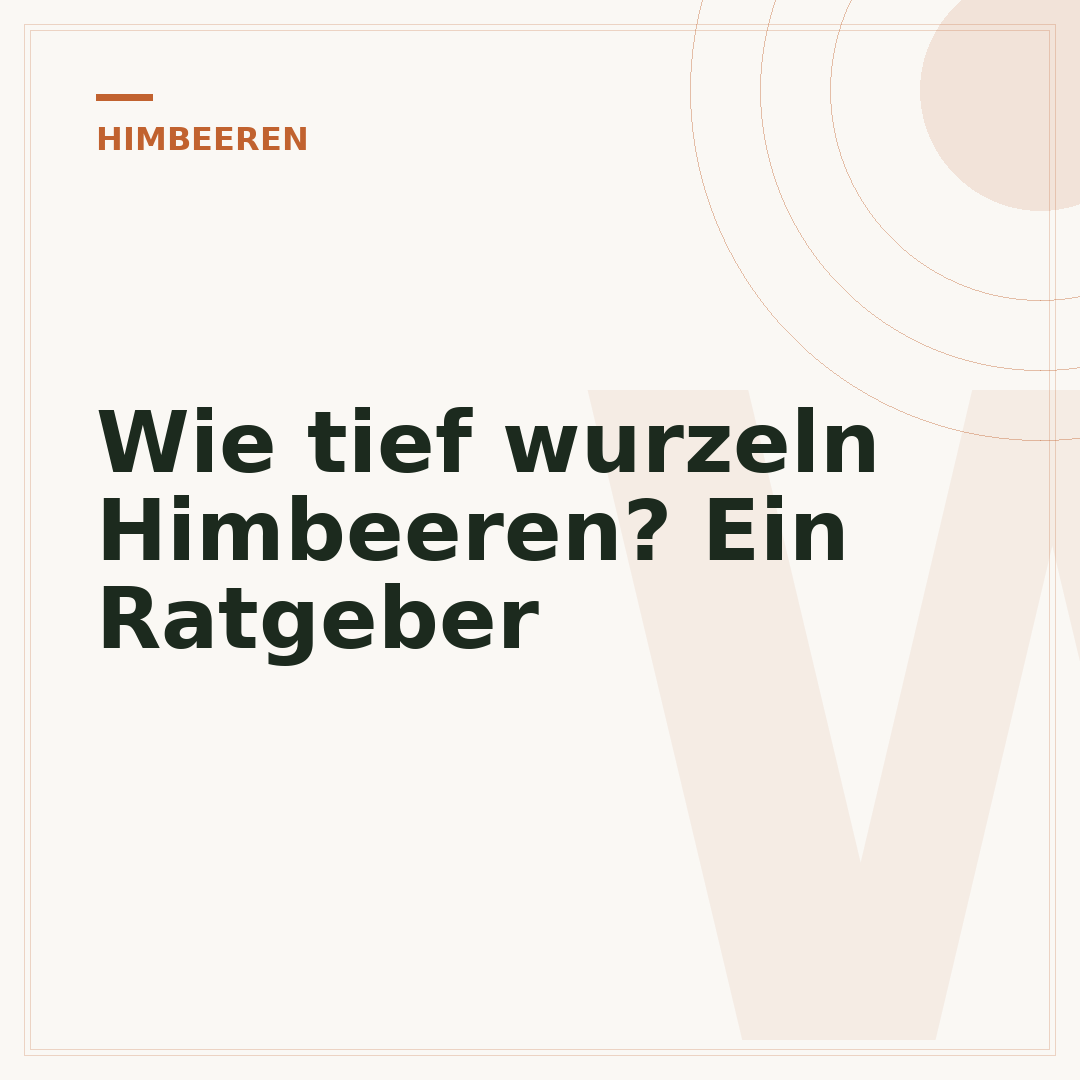 Wie tief wurzeln Himbeeren? Ein Ratgeber