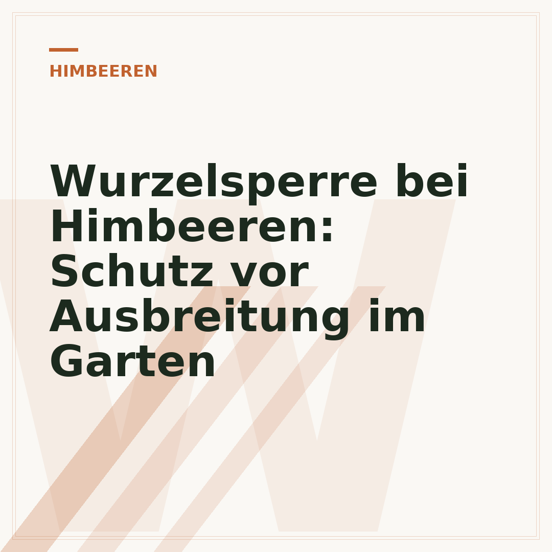 Wurzelsperre bei Himbeeren: Schutz vor Ausbreitung im Garten