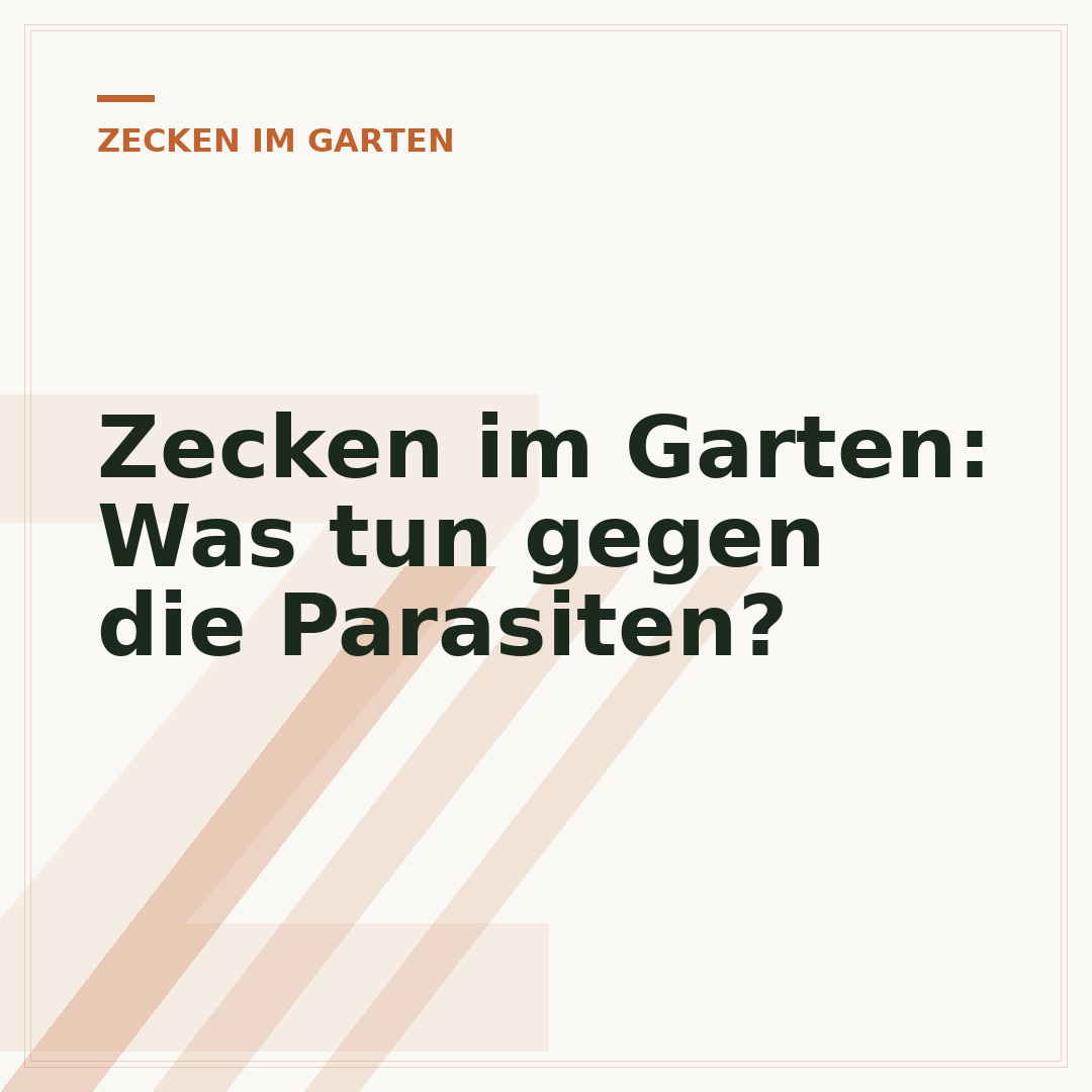 Zecken im Garten: Was tun gegen die Parasiten?