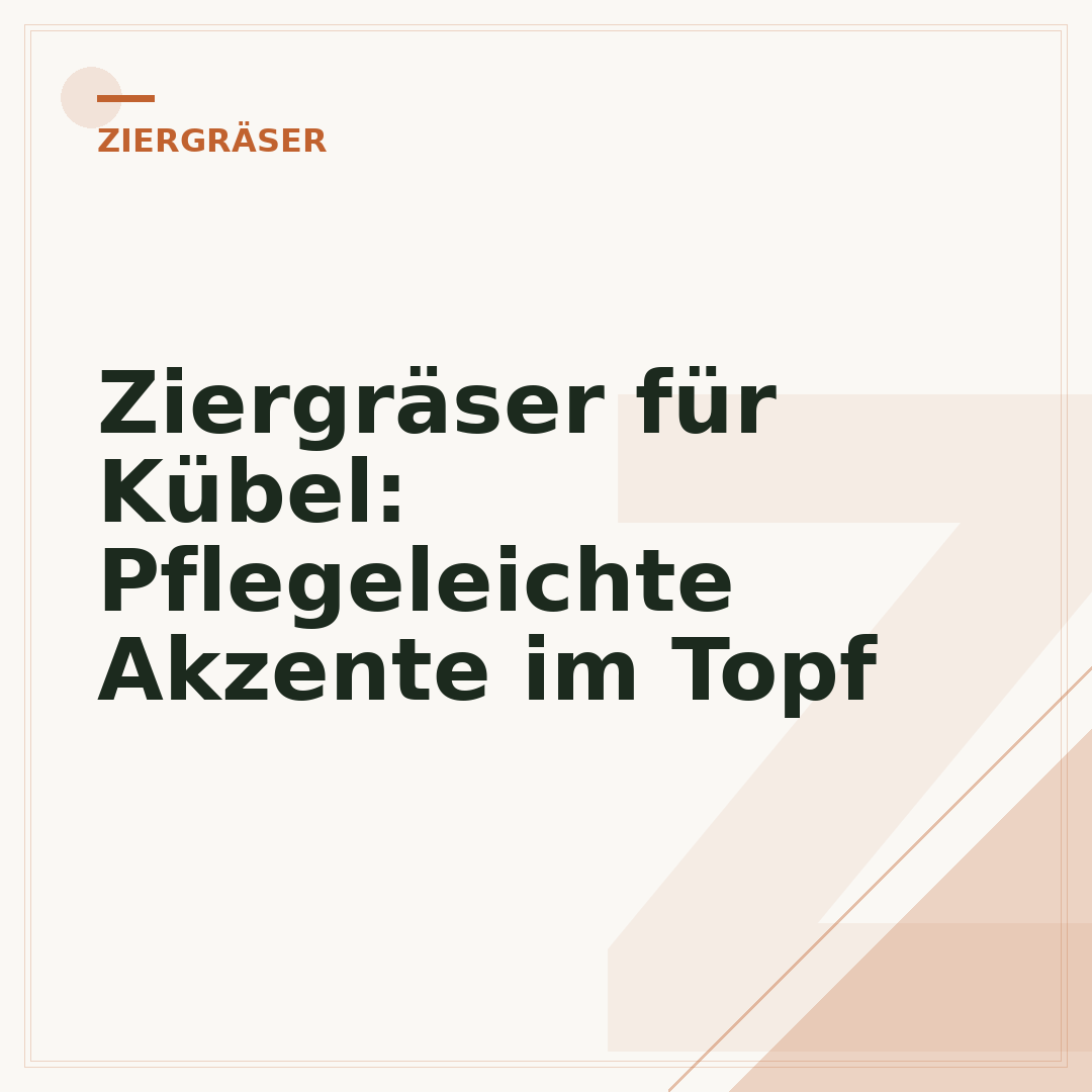 Ziergräser für Kübel: Pflegeleichte Akzente im Topf