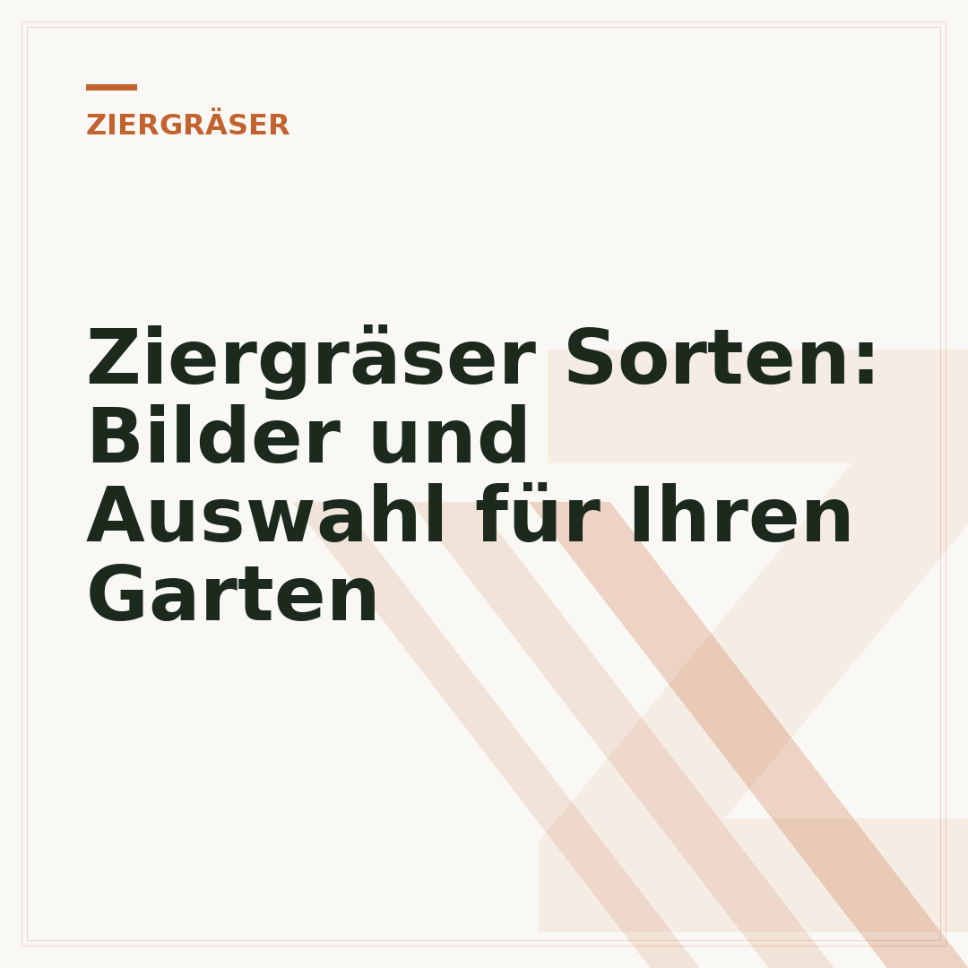 Ziergräser Sorten: Bilder und Auswahl für Ihren Garten
