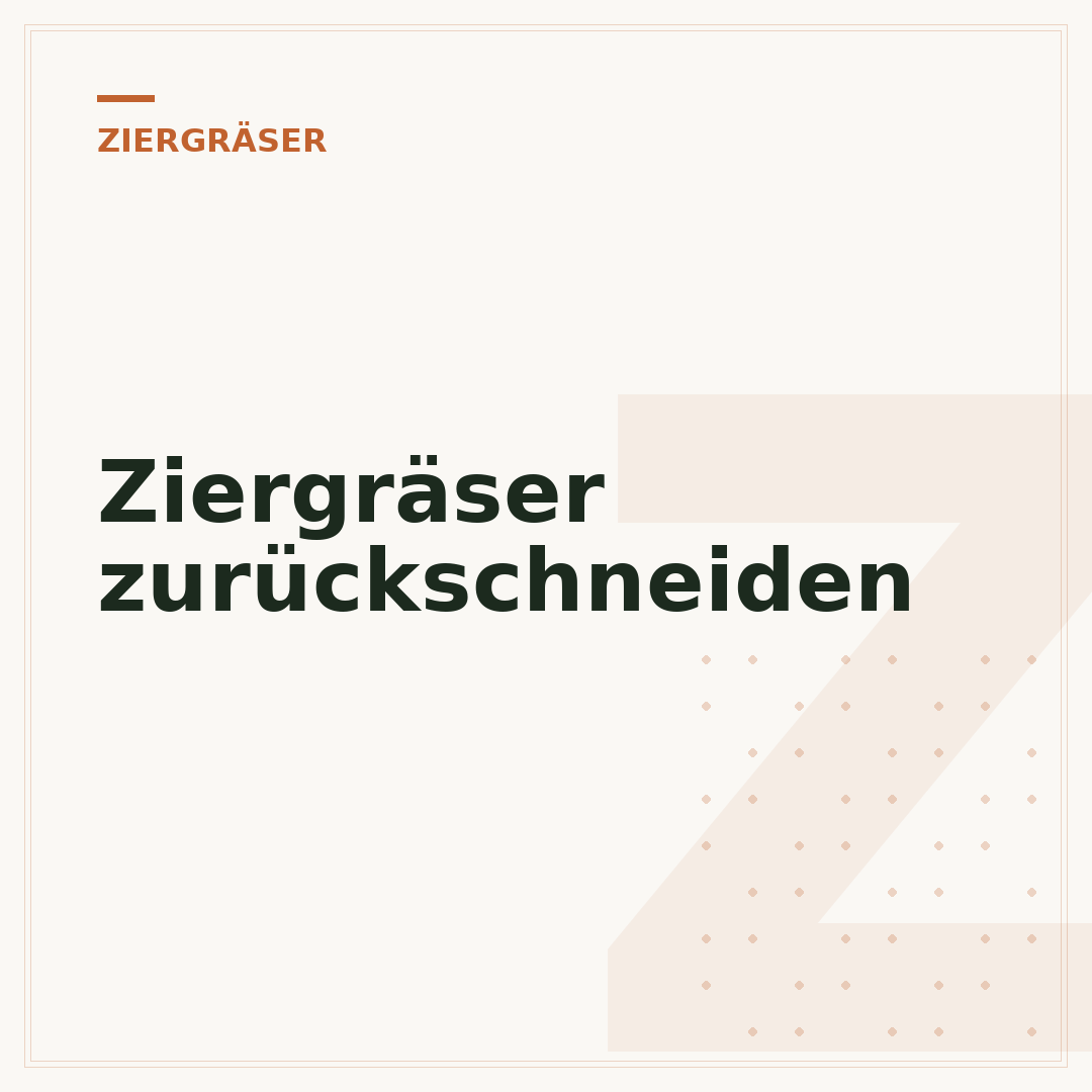 Ziergräser zurückschneiden
