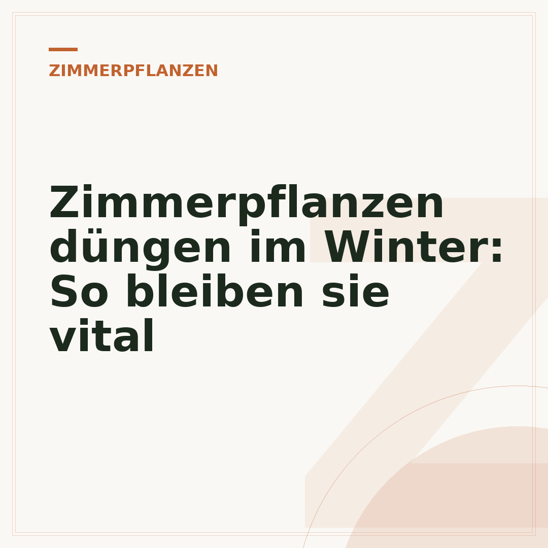 Zimmerpflanzen düngen im Winter: So bleiben sie vital