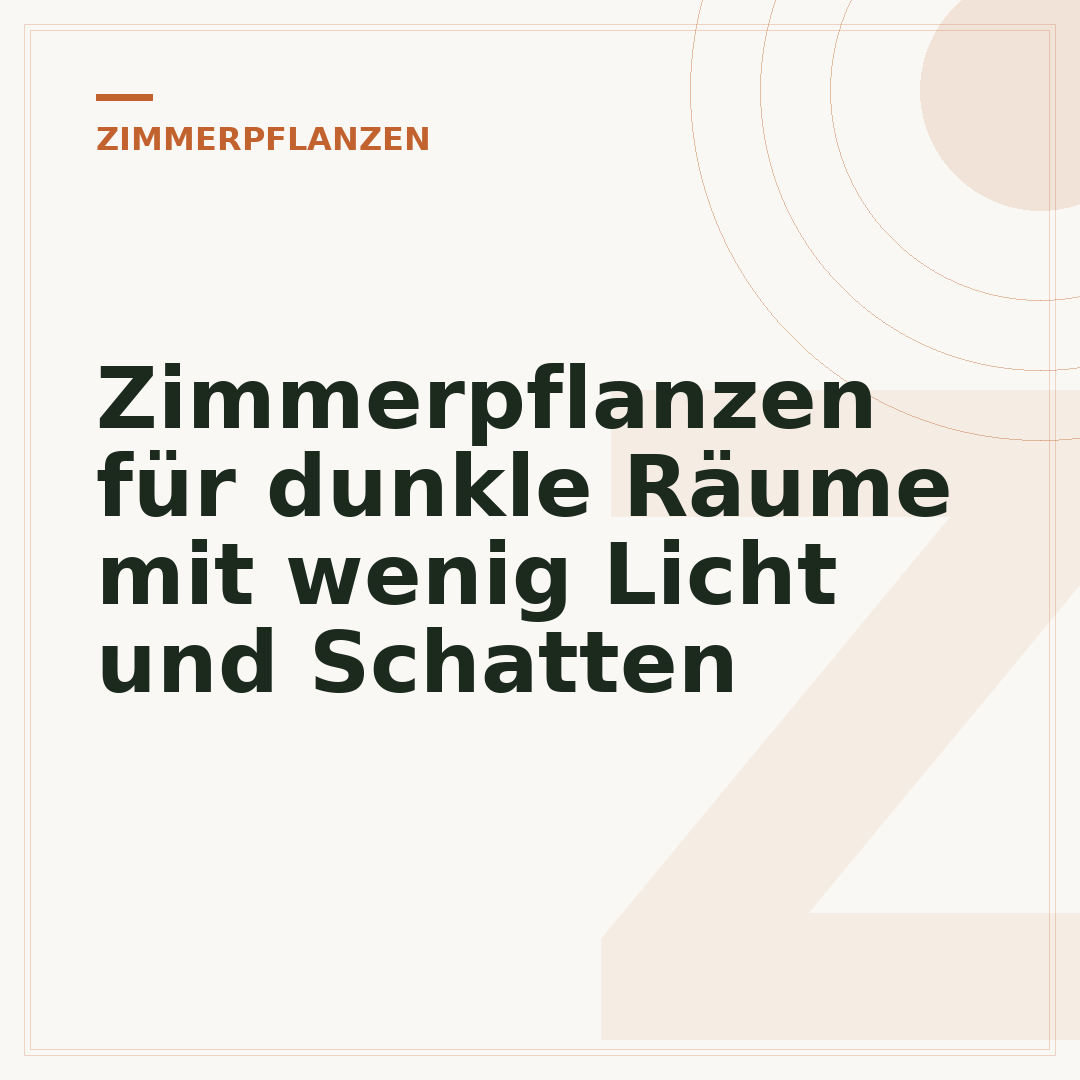 Zimmerpflanzen für dunkle Räume mit wenig Licht und Schatten