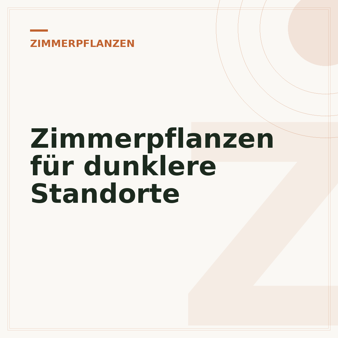 Zimmerpflanzen für dunklere Standorte