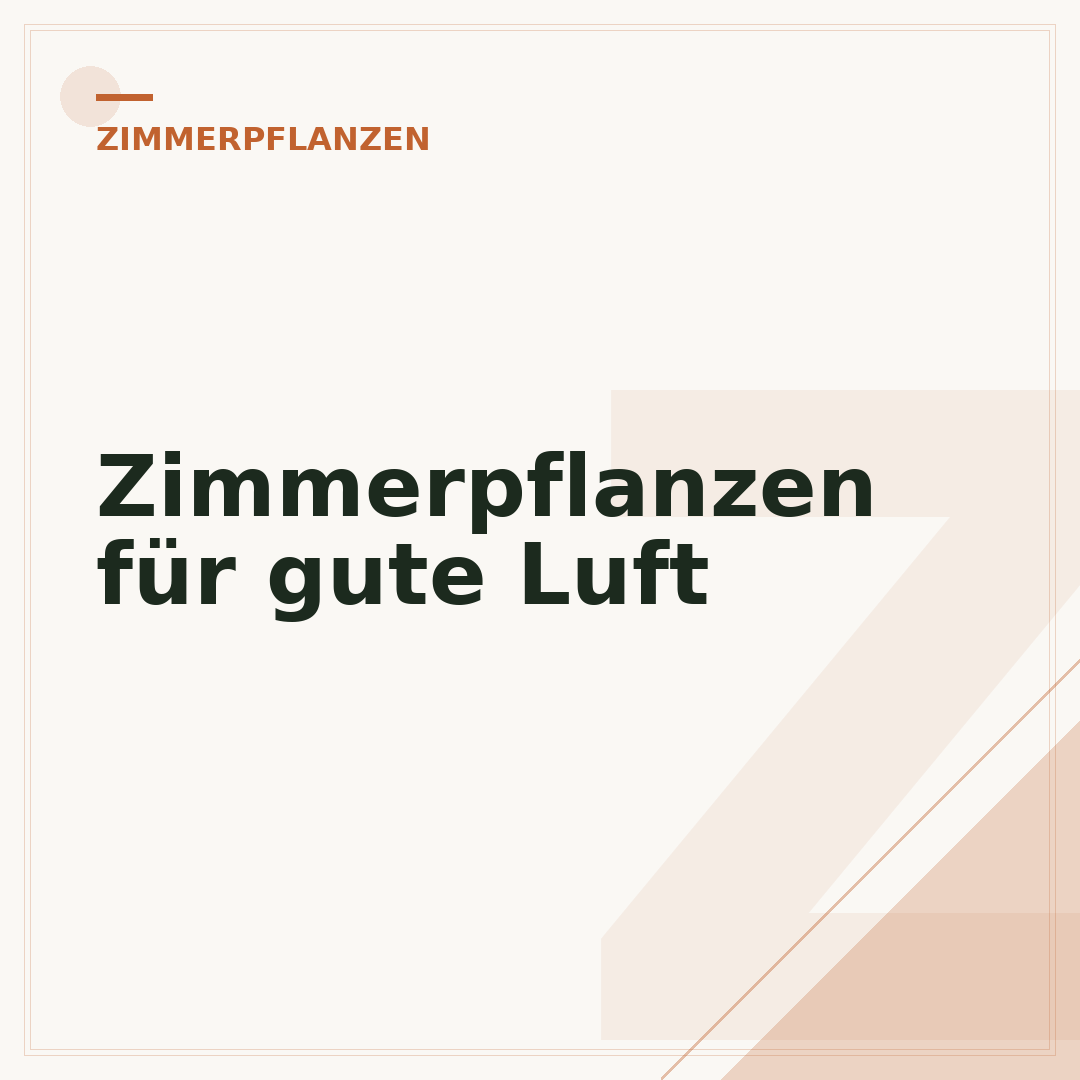 Zimmerpflanzen für gute Luft