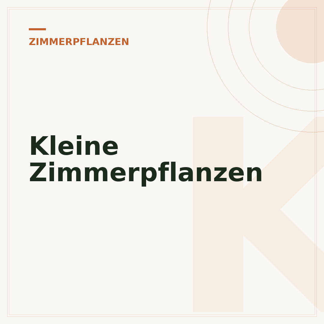 Kleine Zimmerpflanzen