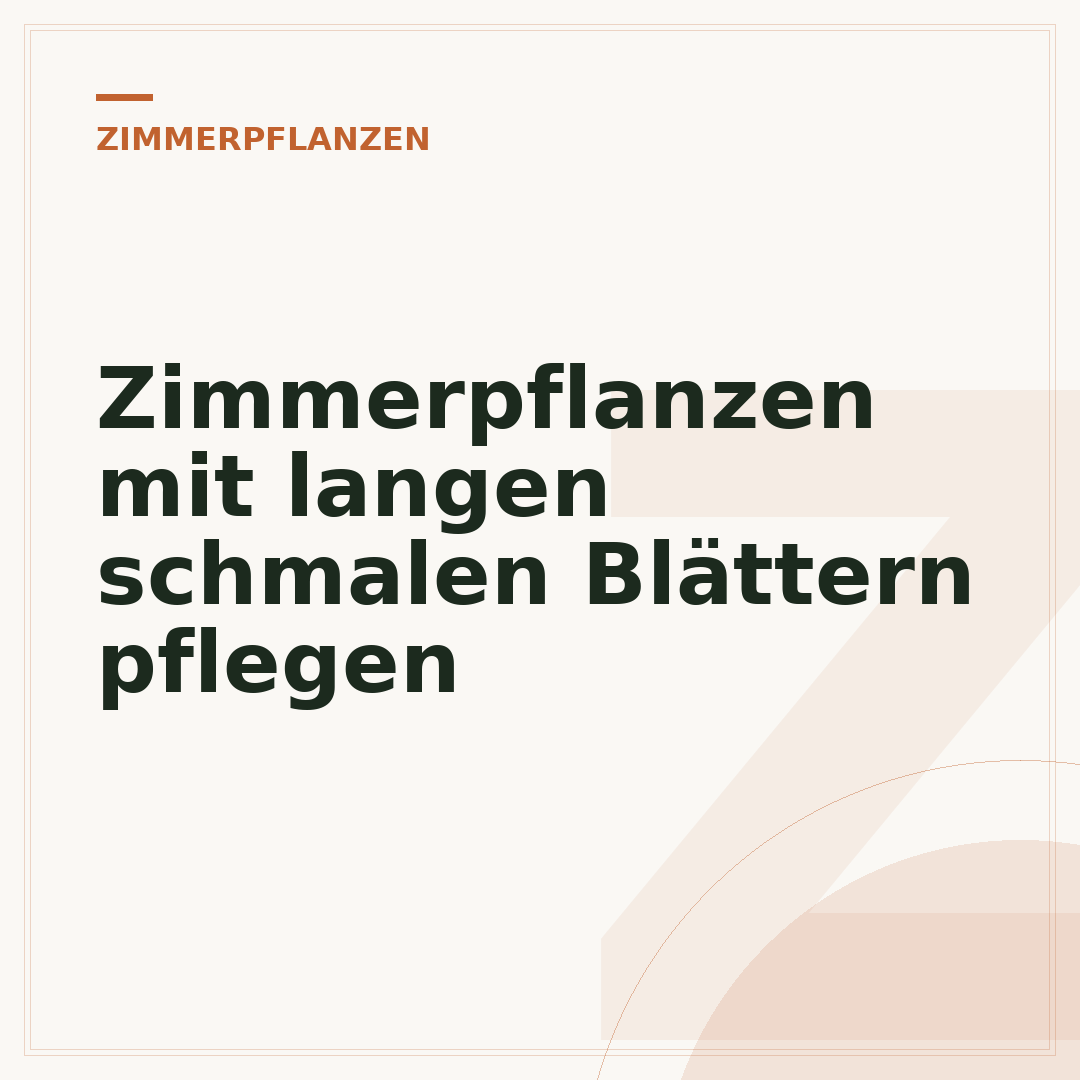 Zimmerpflanzen mit langen schmalen Blättern pflegen