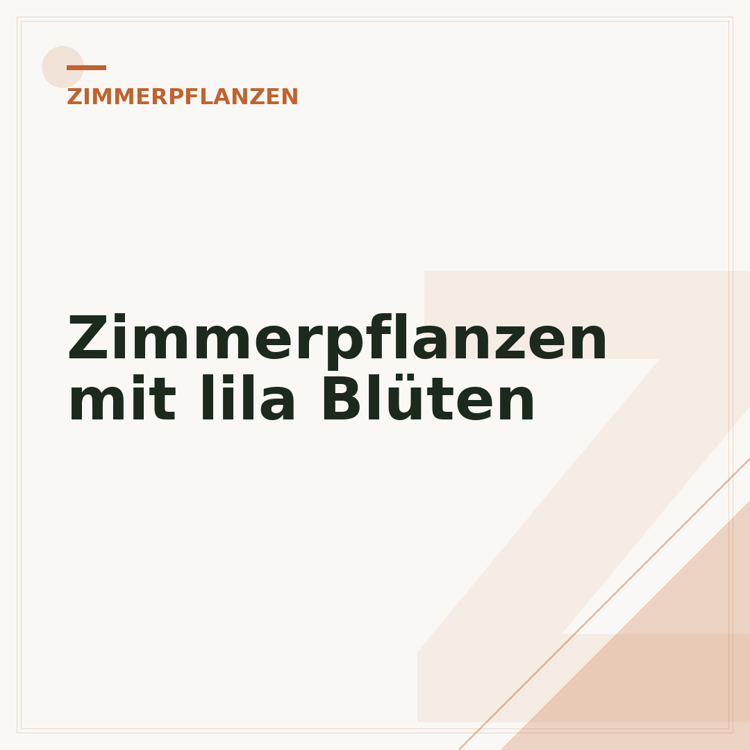 Zimmerpflanzen mit lila Blüten