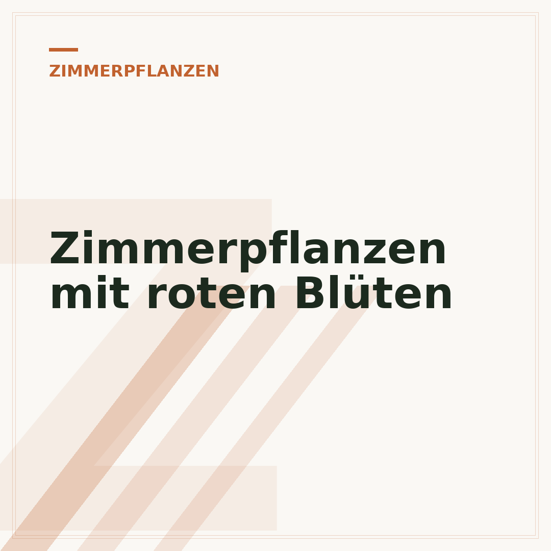 Zimmerpflanzen mit roten Blüten
