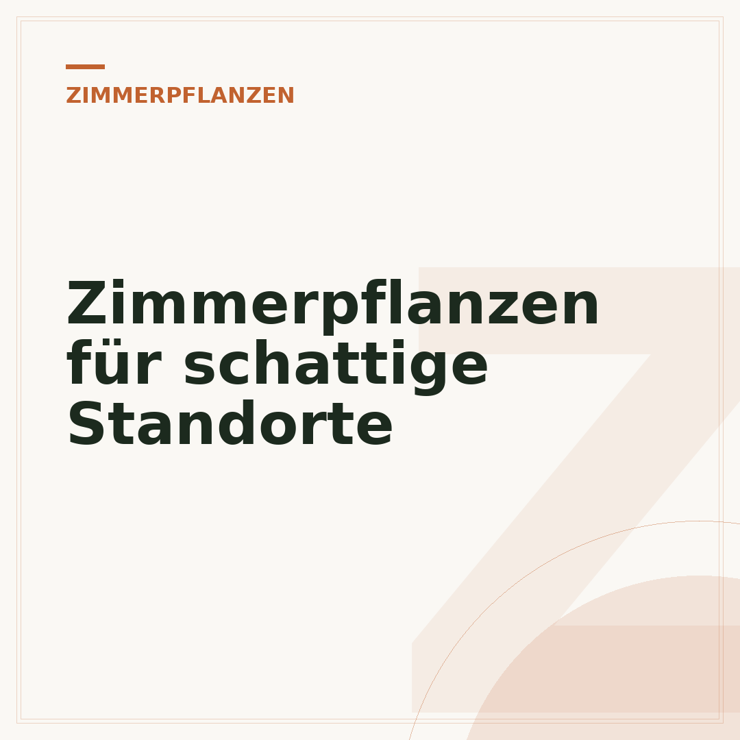 Zimmerpflanzen für schattige Standorte