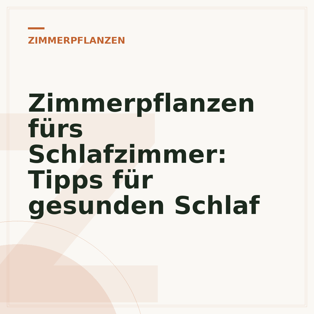 Zimmerpflanzen fürs Schlafzimmer: Tipps für gesunden Schlaf