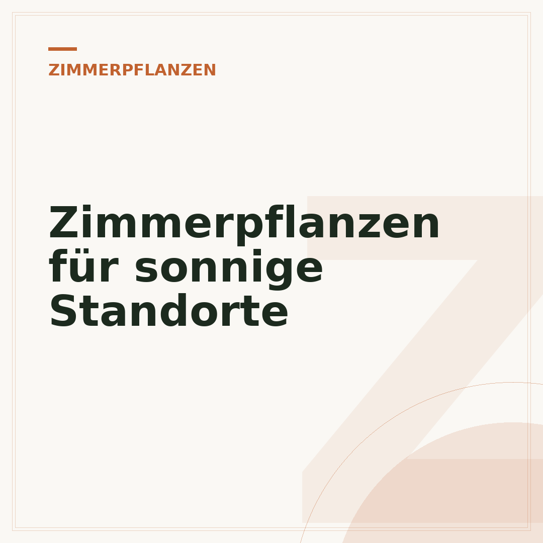 Zimmerpflanzen für sonnige Standorte