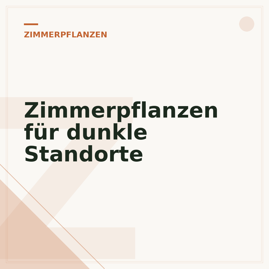 Zimmerpflanzen für dunkle Standorte