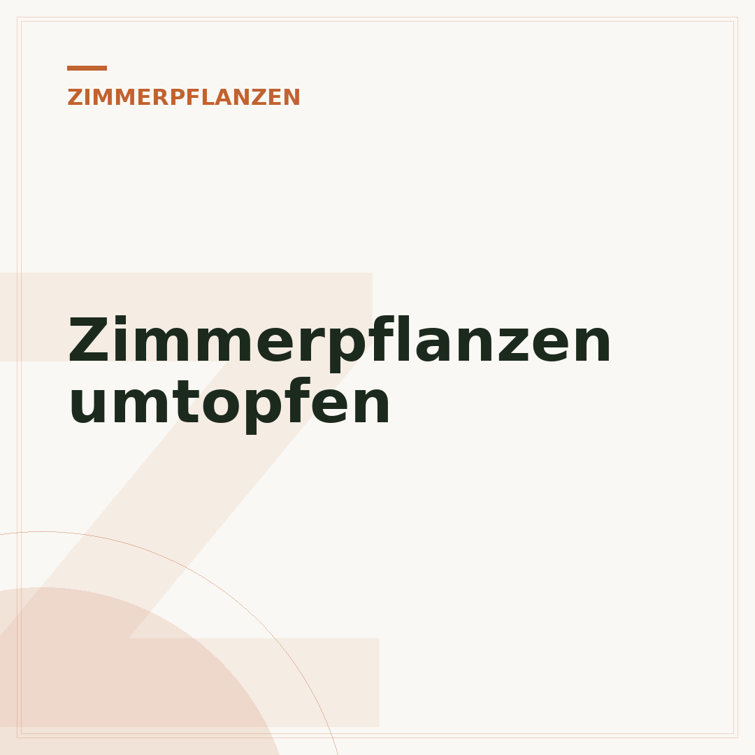 Zimmerpflanzen umtopfen