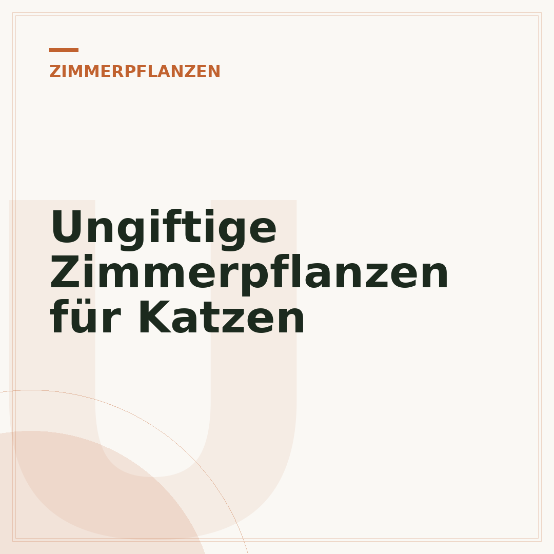 Ungiftige Zimmerpflanzen für Katzen