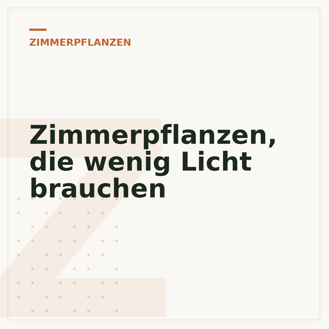 Zimmerpflanzen, die wenig Licht brauchen