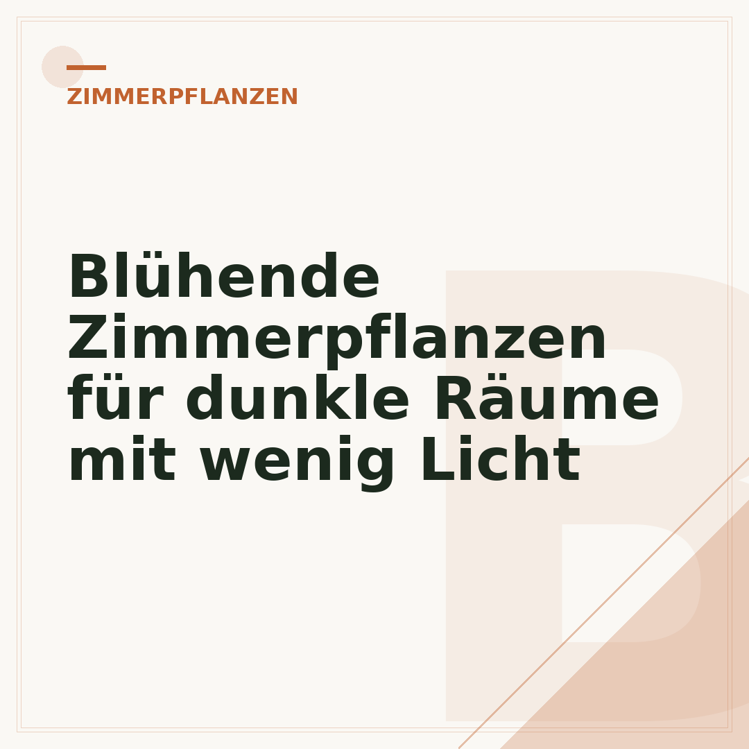 Blühende Zimmerpflanzen für dunkle Räume mit wenig Licht