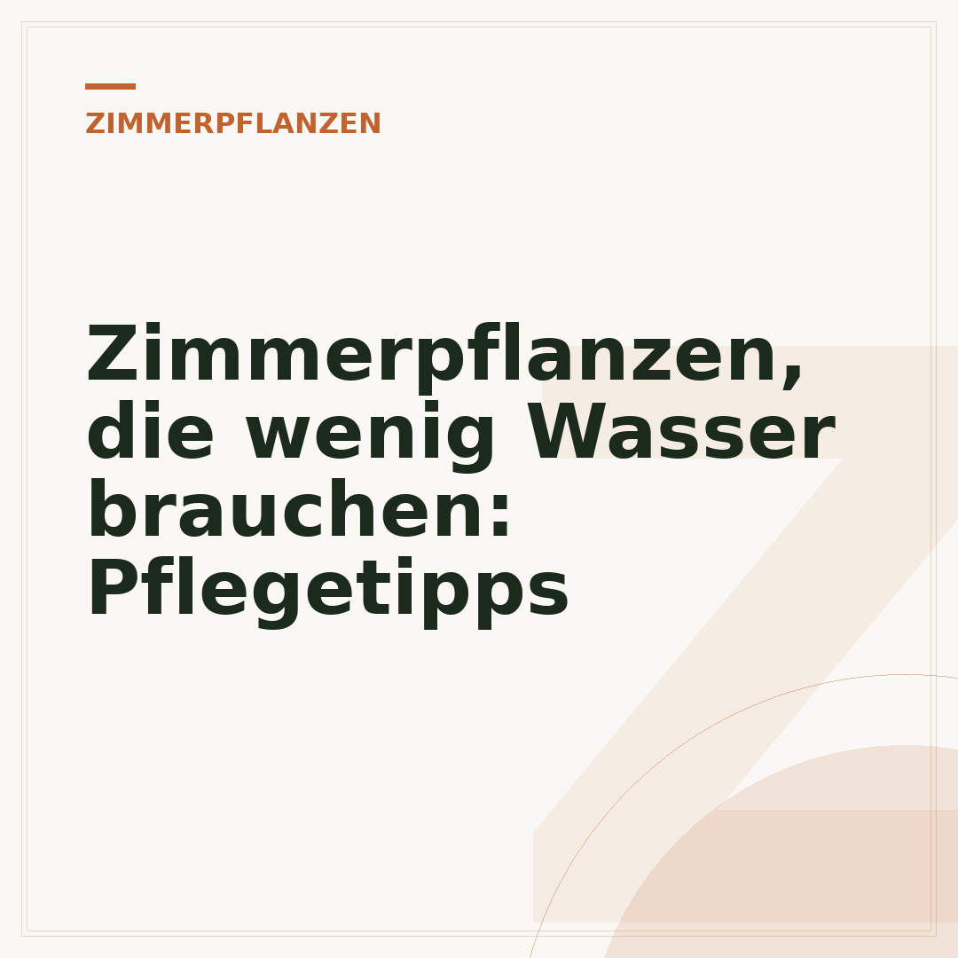 Zimmerpflanzen, die wenig Wasser brauchen: Pflegetipps