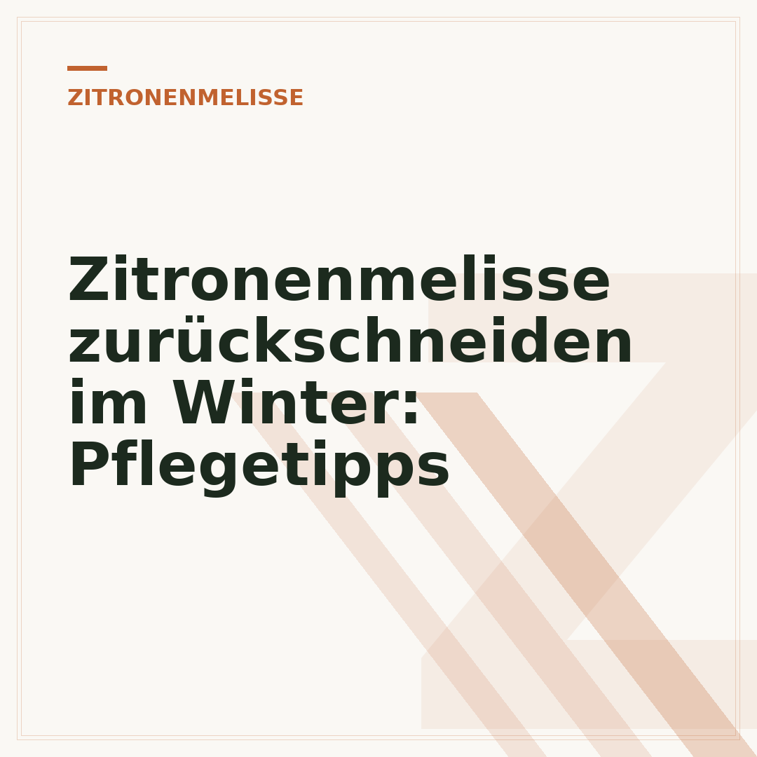 Zitronenmelisse zurückschneiden im Winter: Pflegetipps