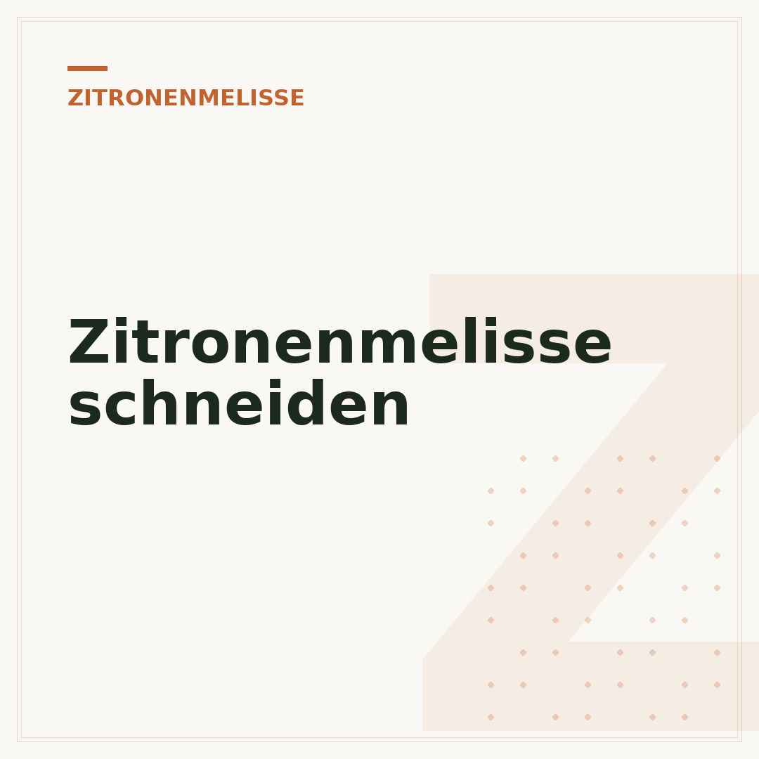 Zitronenmelisse schneiden