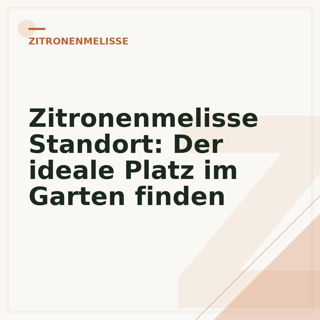 Zitronenmelisse Standort: Der ideale Platz im Garten finden