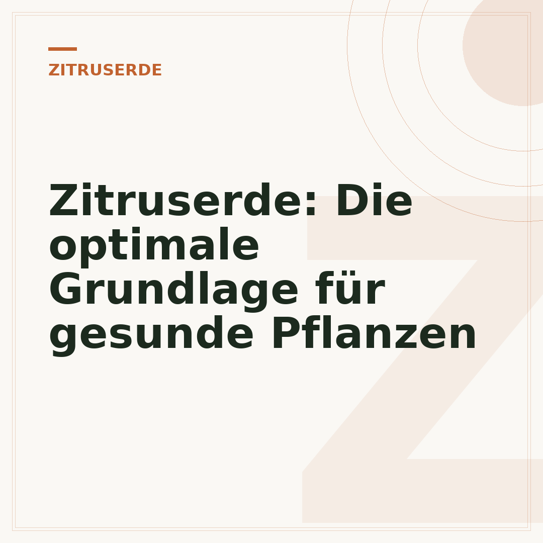 Zitruserde: Die optimale Grundlage für gesunde Pflanzen