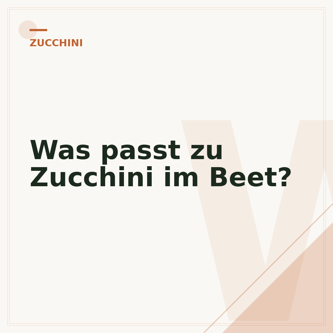 Was passt zu Zucchini im Beet?
