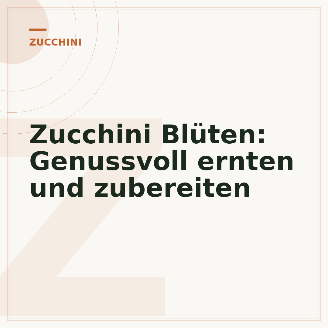 Zucchini Blüten: Genussvoll ernten und zubereiten