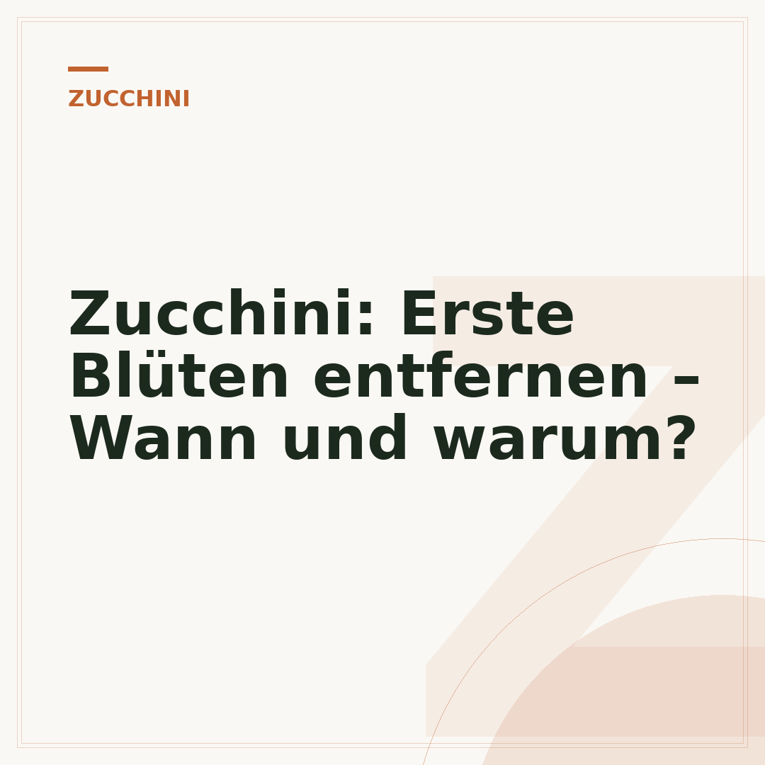 Zucchini: Erste Blüten entfernen – Wann und warum?