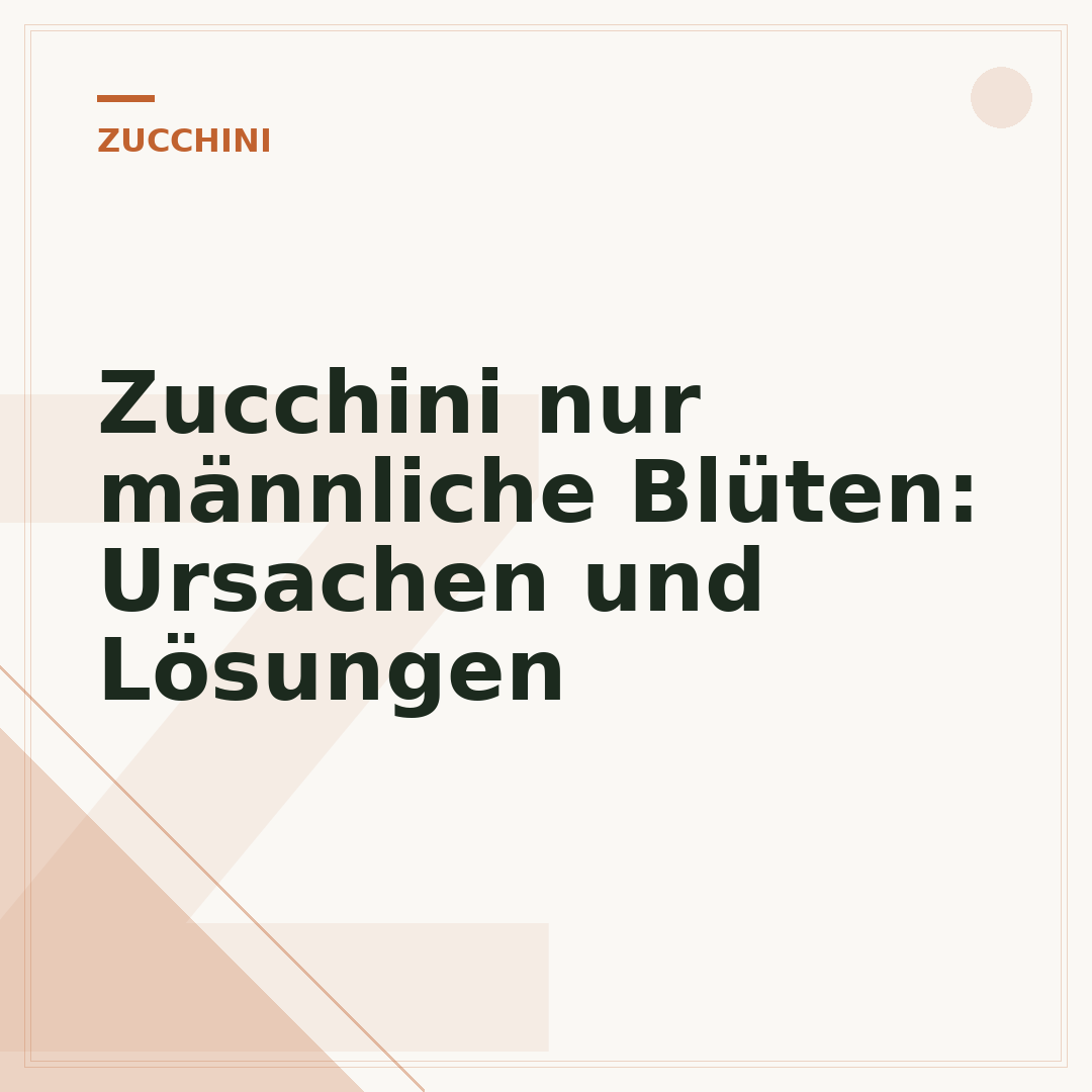Zucchini nur männliche Blüten: Ursachen und Lösungen