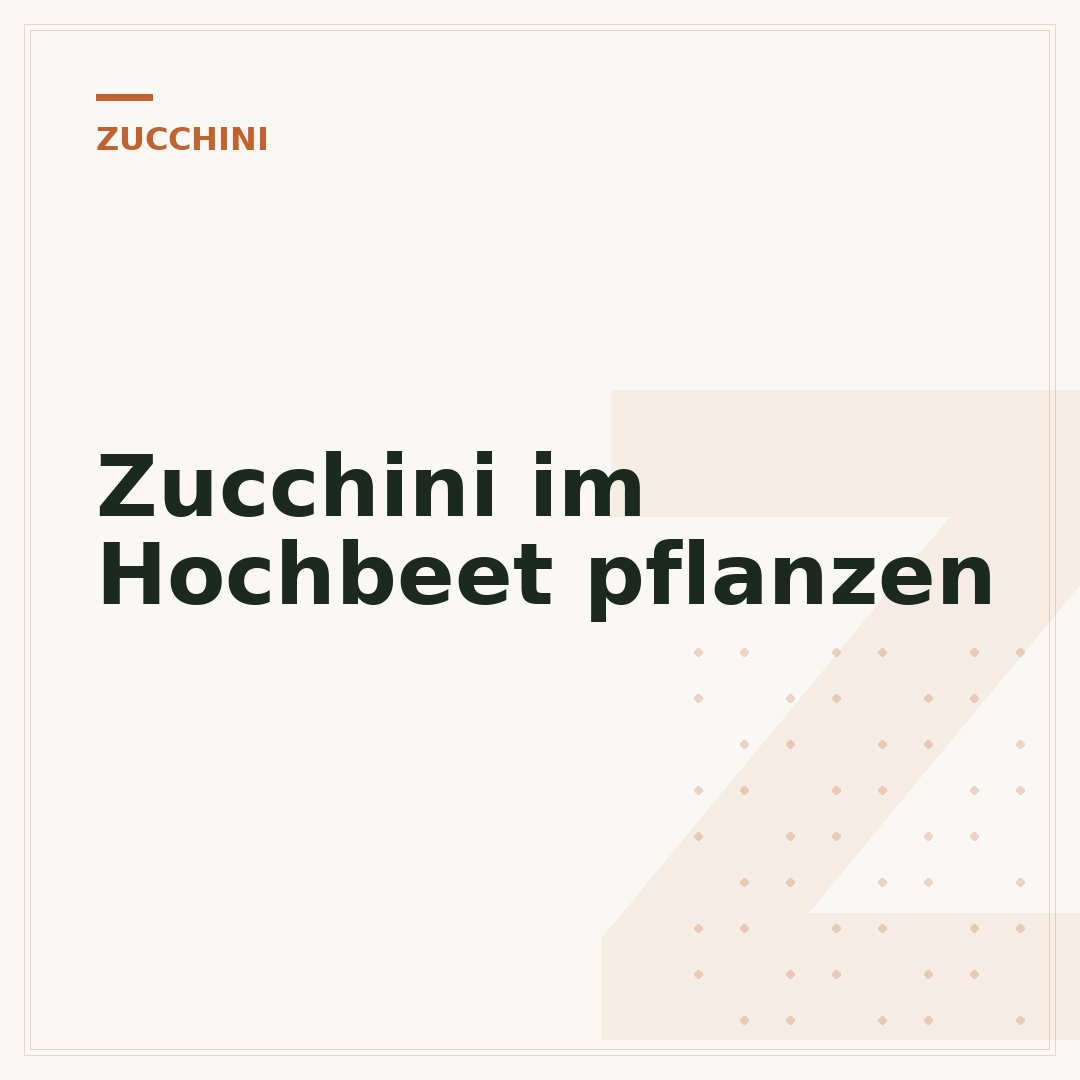 Zucchini im Hochbeet pflanzen