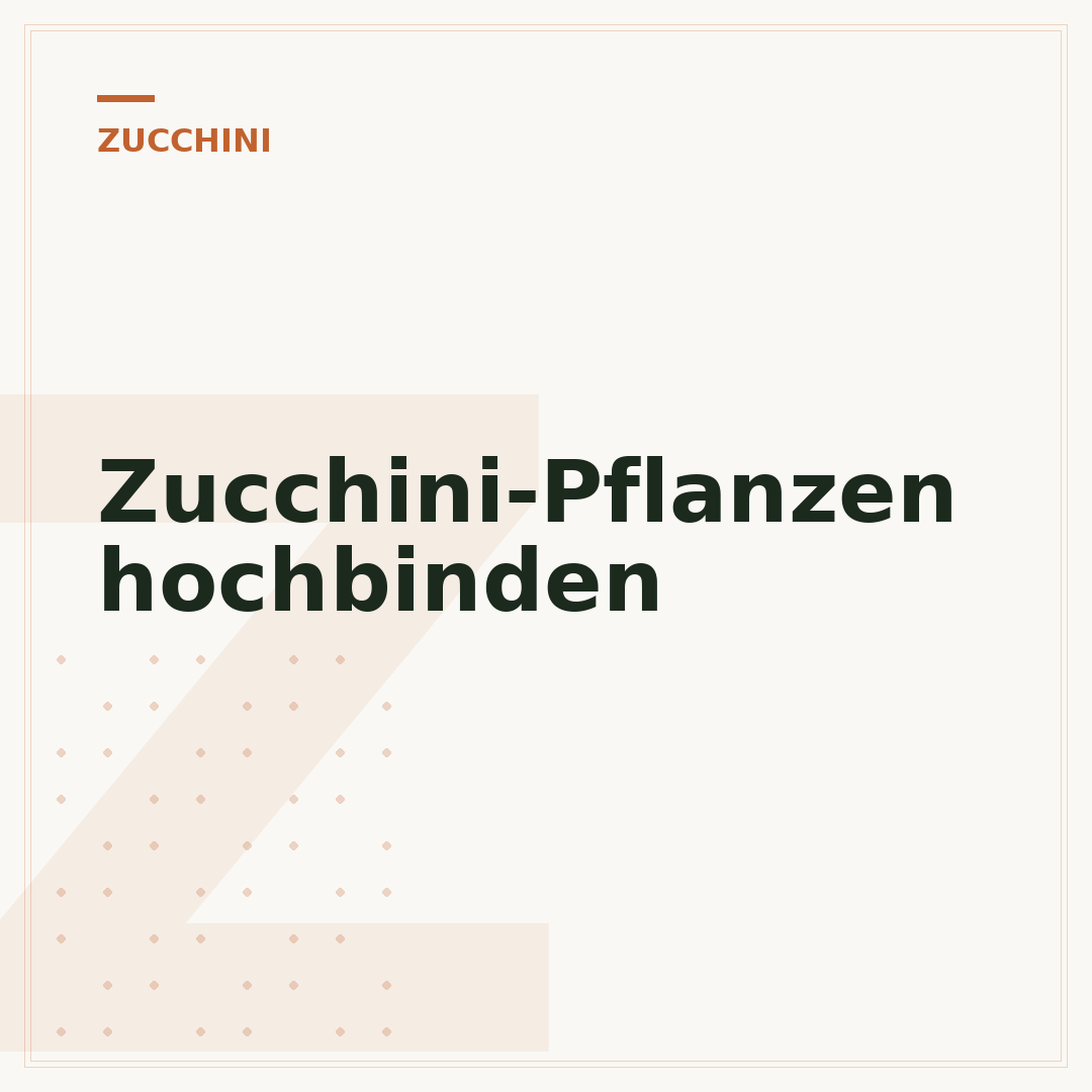 Zucchini-Pflanzen hochbinden