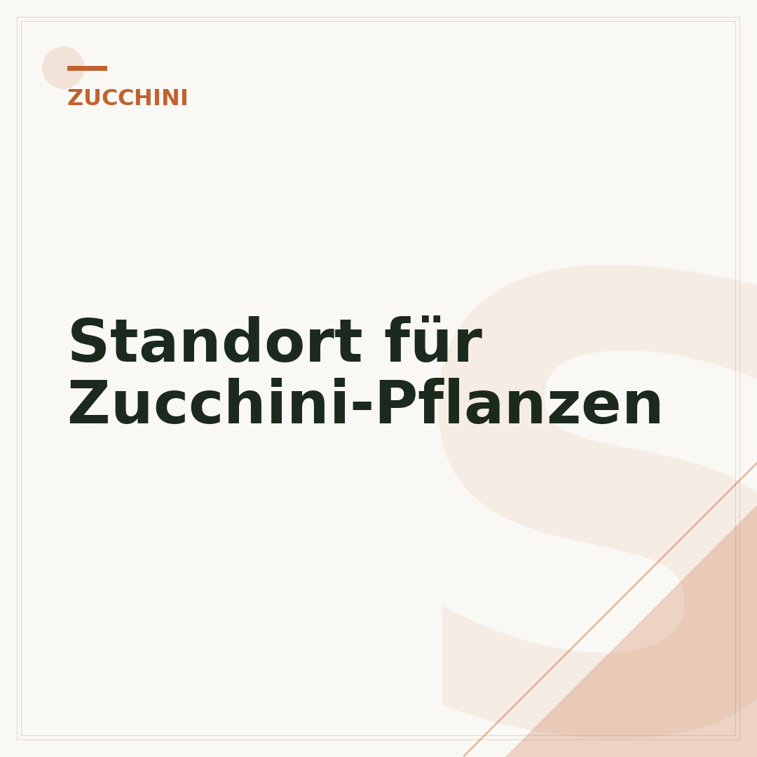 Standort für Zucchini-Pflanzen