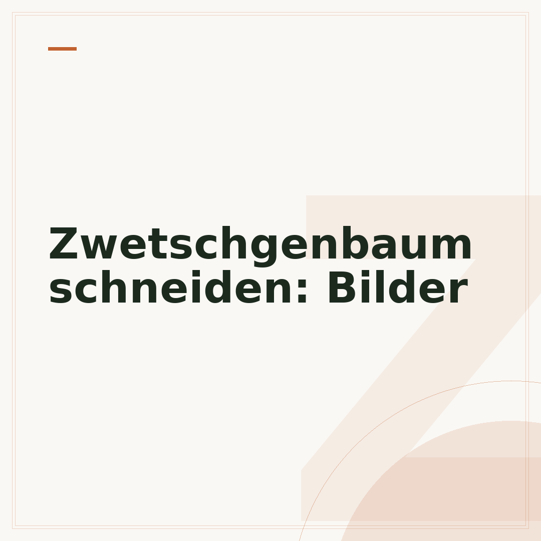 Zwetschgenbaum schneiden: Bilder