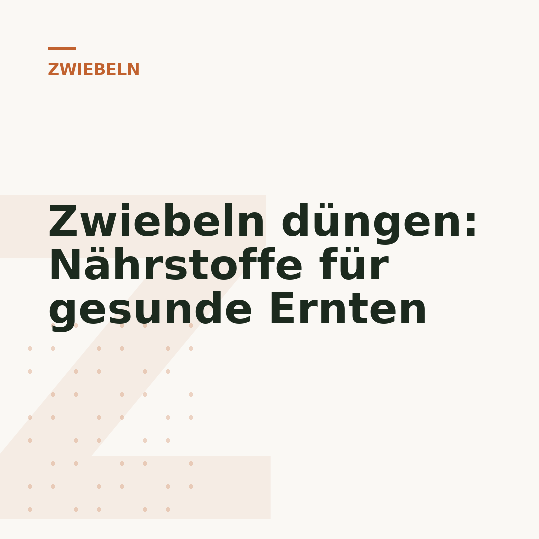 Zwiebeln düngen: Nährstoffe für gesunde Ernten