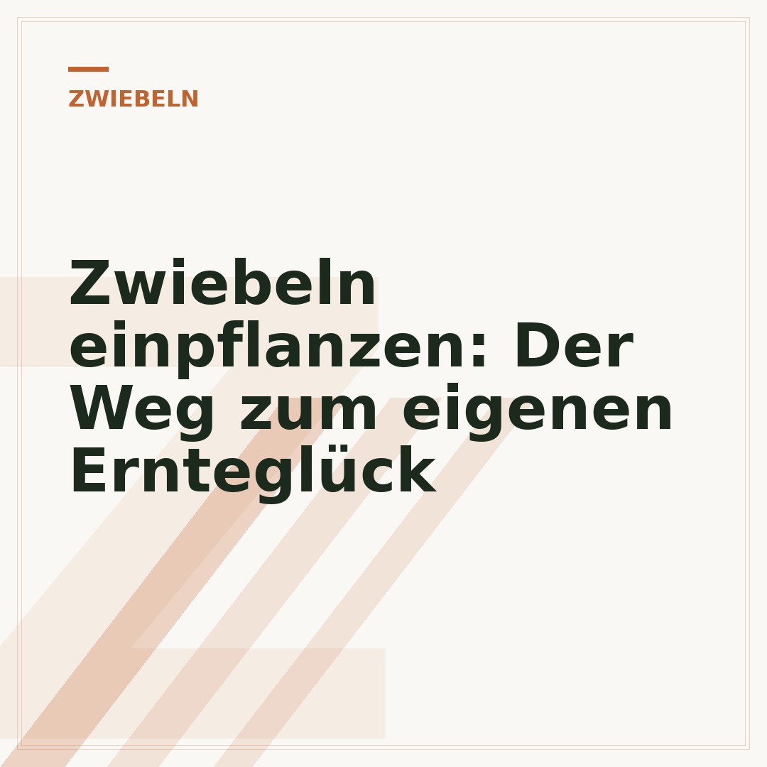 Zwiebeln einpflanzen: Der Weg zum eigenen Ernteglück