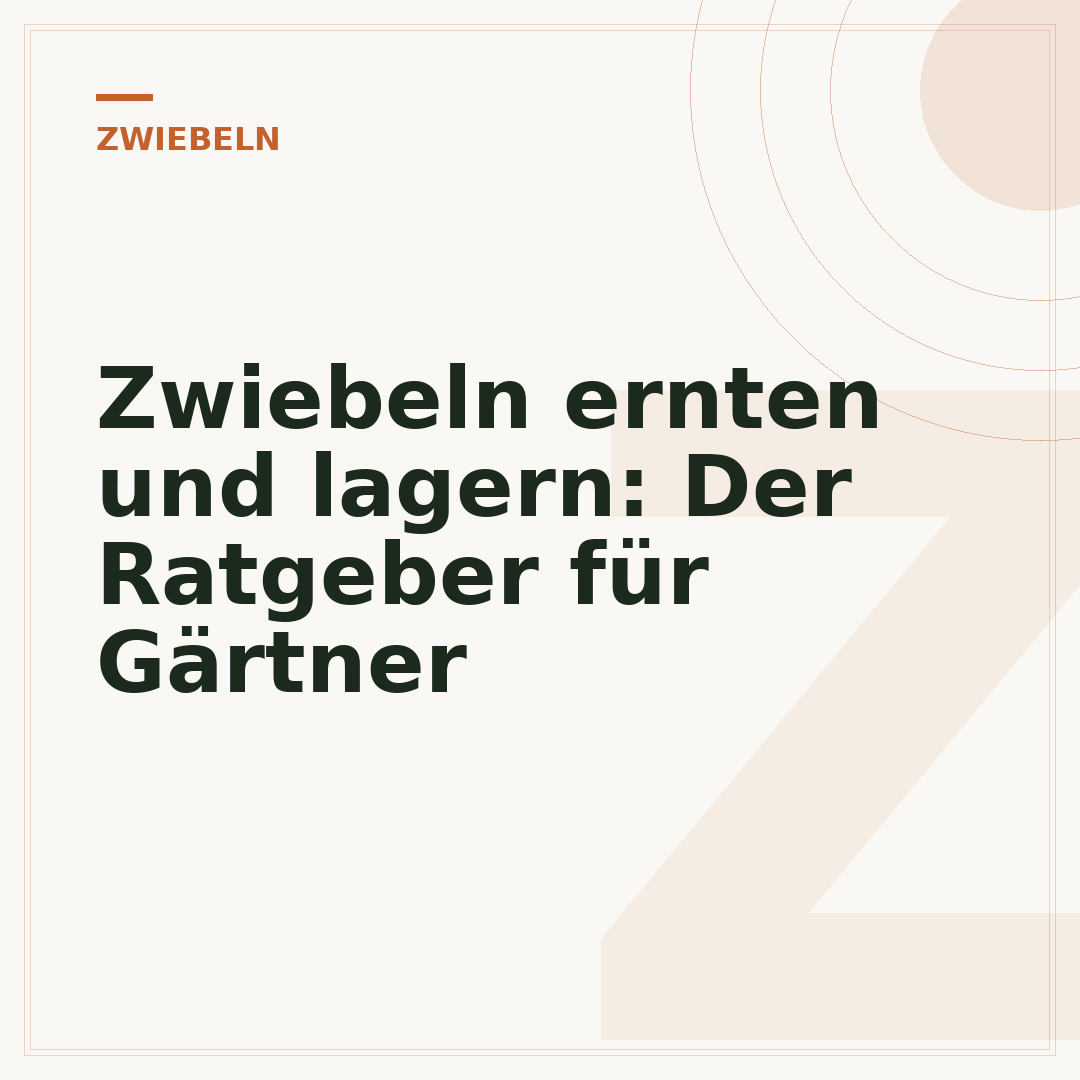 Zwiebeln ernten und lagern: Der Ratgeber für Gärtner