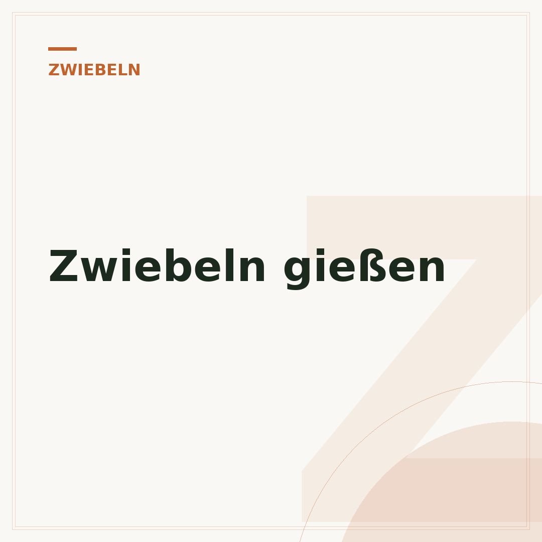 Zwiebeln gießen