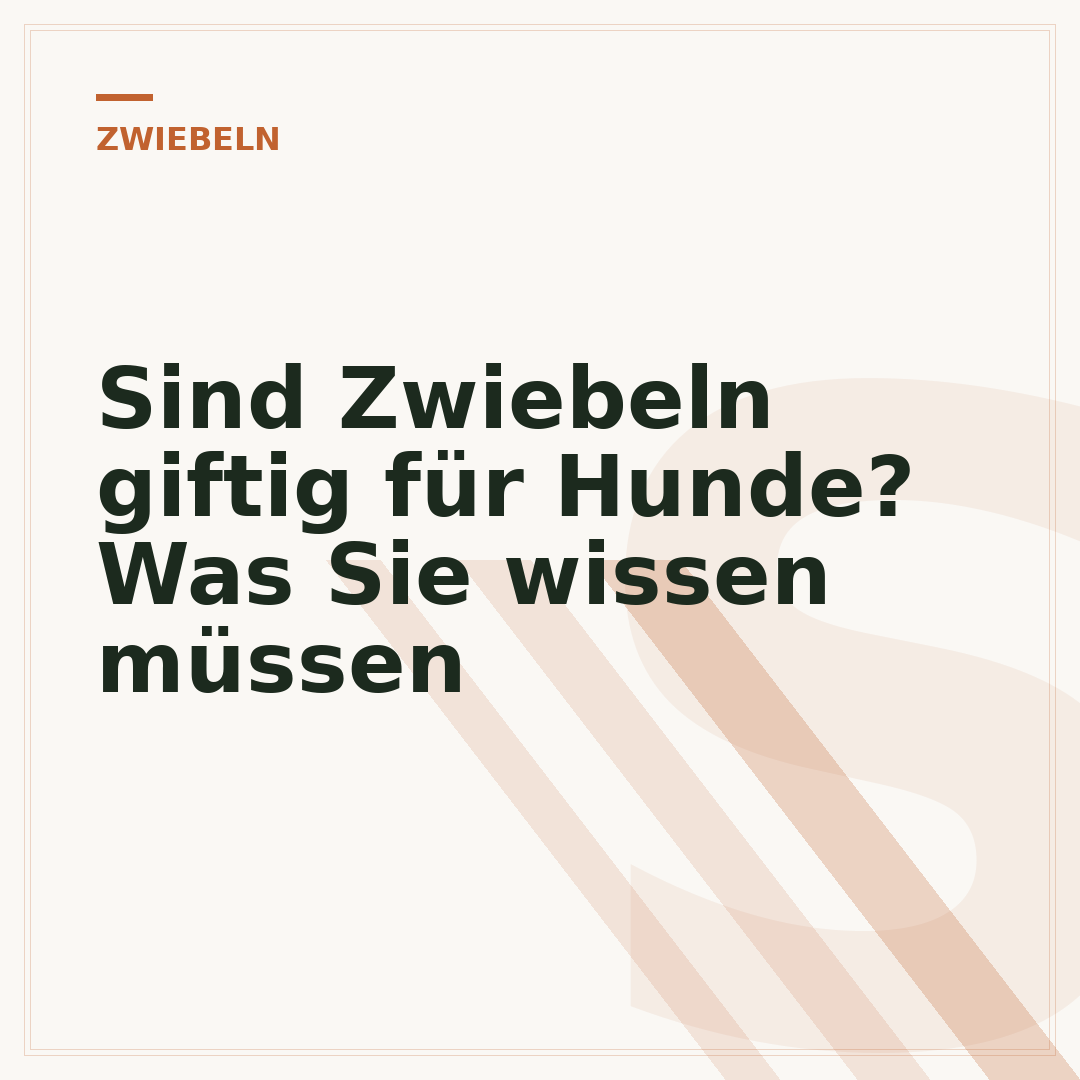 Sind Zwiebeln giftig für Hunde? Was Sie wissen müssen