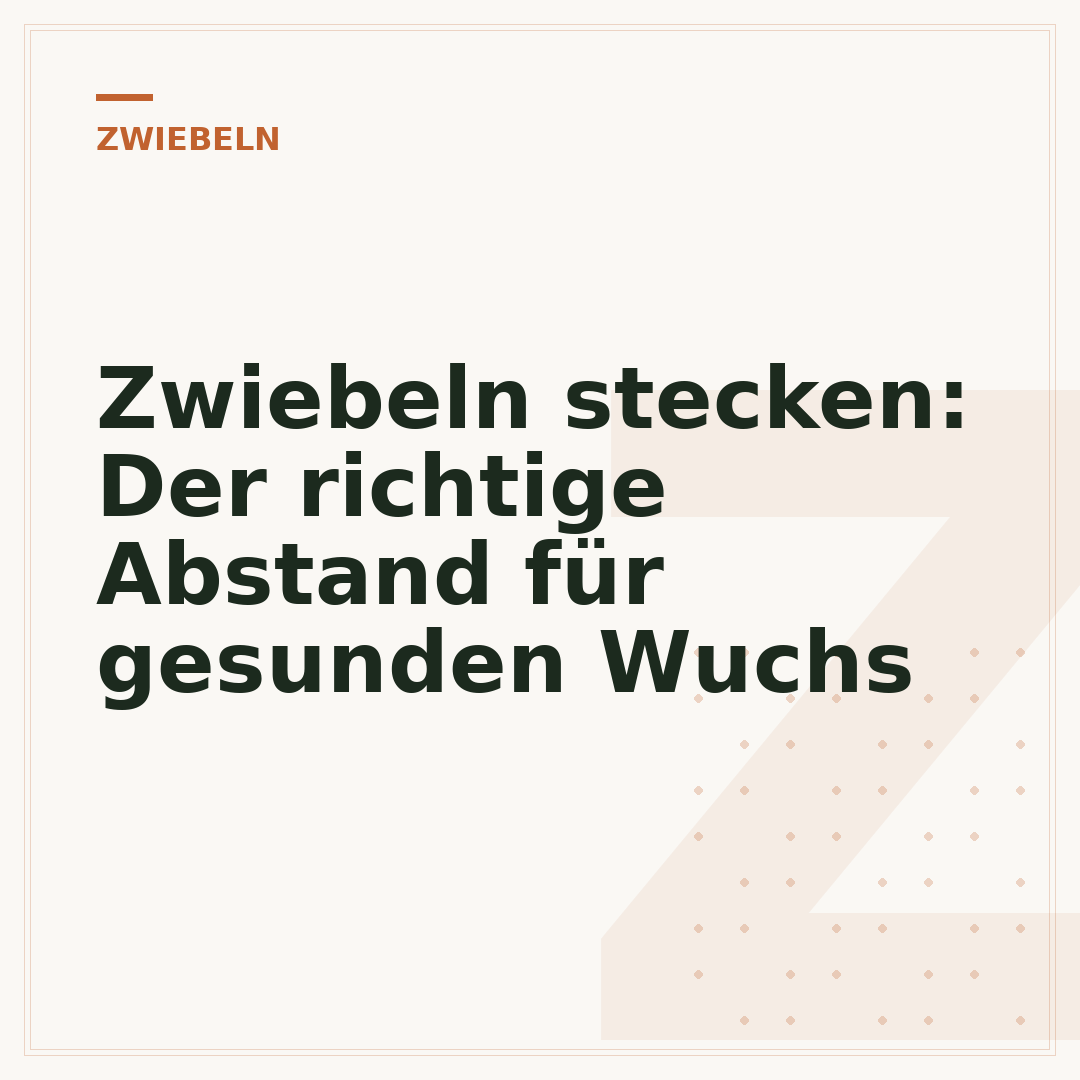 Zwiebeln stecken: Der richtige Abstand für gesunden Wuchs