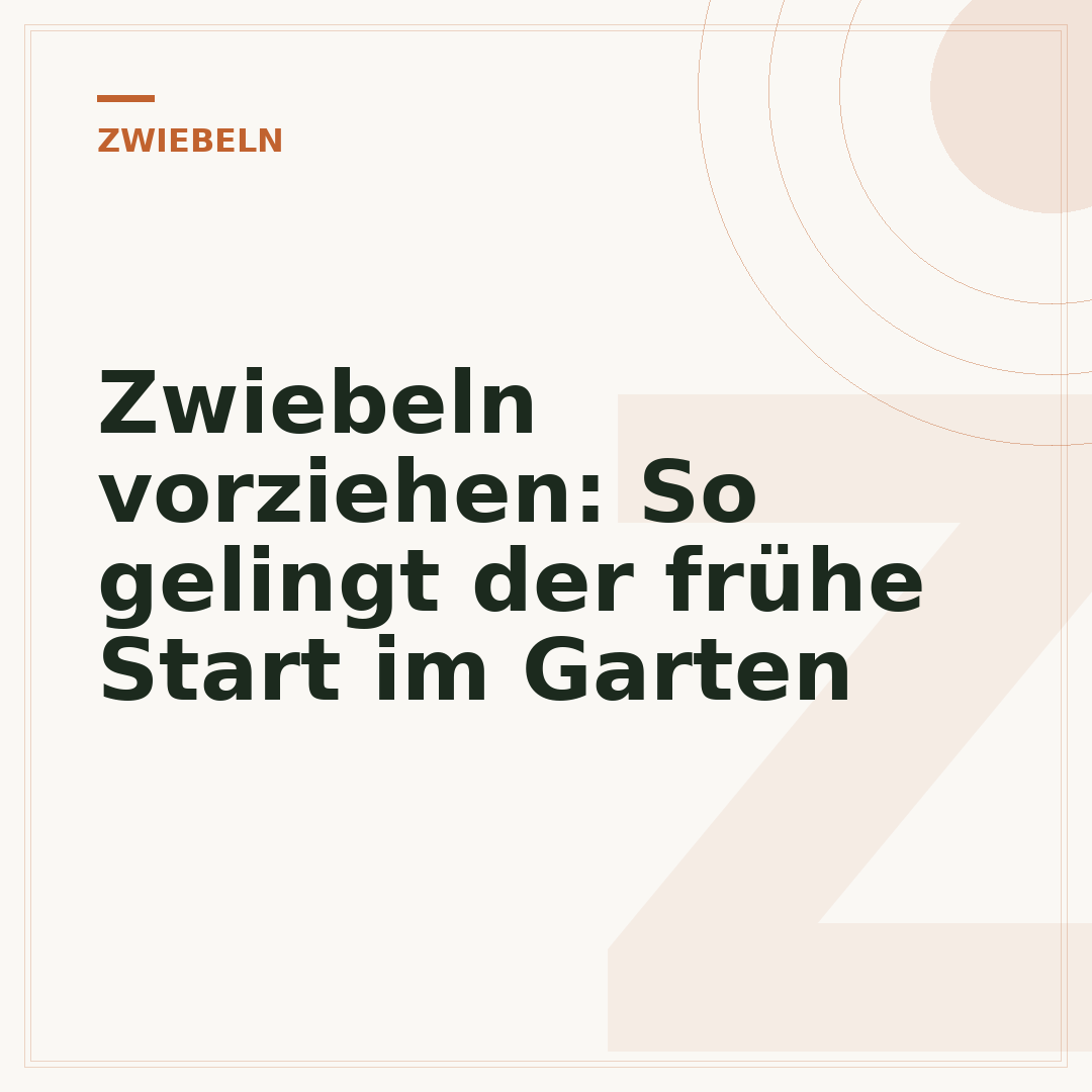 Zwiebeln vorziehen: So gelingt der frühe Start im Garten