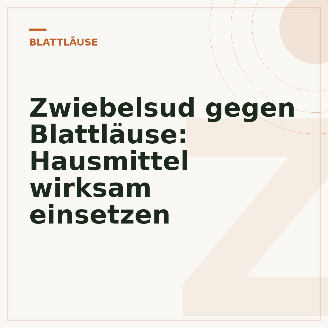 Zwiebelsud gegen Blattläuse: Hausmittel wirksam einsetzen